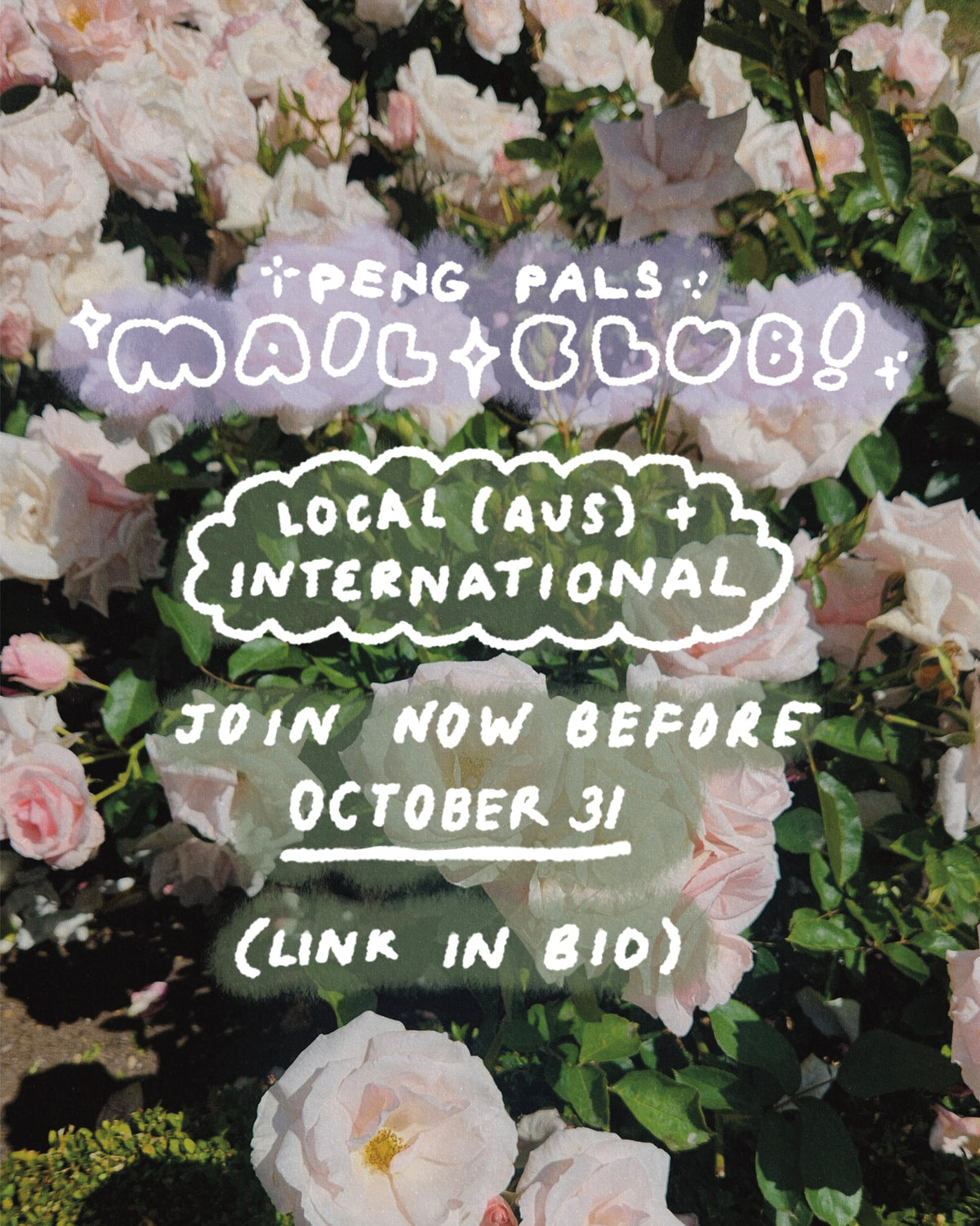 Peng Pals Mail Club - a monthly mail club